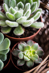 Similar image 13210507