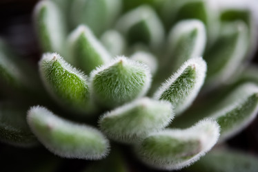 Similar image 13210508