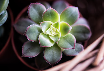 Similar image 13210773