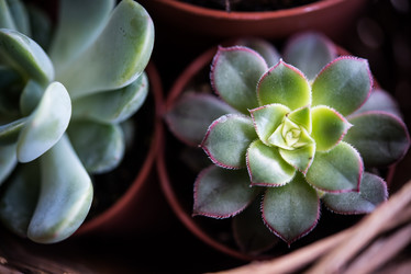 Similar image 13210774