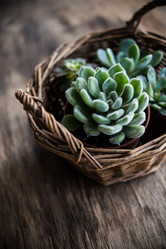 Similar image 13210794