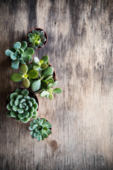 Similar image 13210795