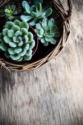 Similar image 13210796