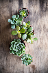 Similar image 13210797