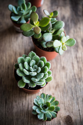 Similar image 13210799