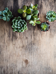 Similar image 13210871