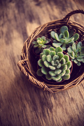 Similar image 13210877