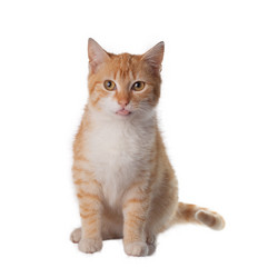 Similar image 13211707