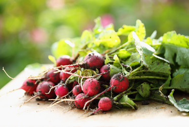 Similar image 13209813