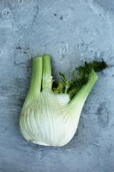 Similar image 13209822