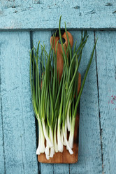 Similar image 13209830