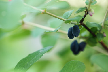 Similar image 13209833