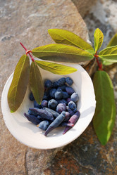 Similar image 13209861