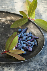 Similar image 13209865