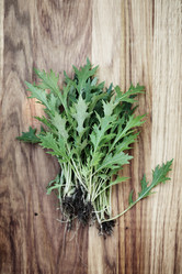 Similar image 13209890