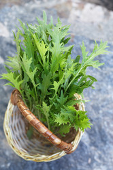 Similar image 13209894