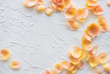 Similar image 13210411