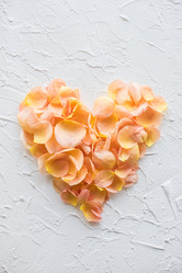 Similar image 13210757