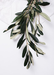 Similar image 13210678