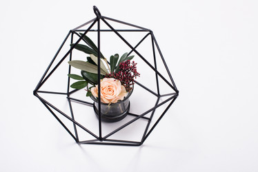 Similar image 13210700