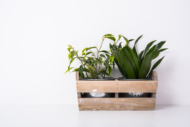 Similar image 13210503