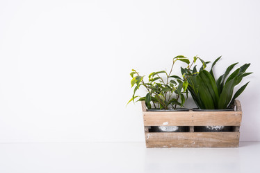 Similar image 13210520