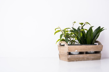 Similar image 13210529