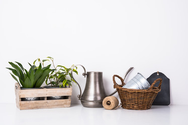 Similar image 13210525