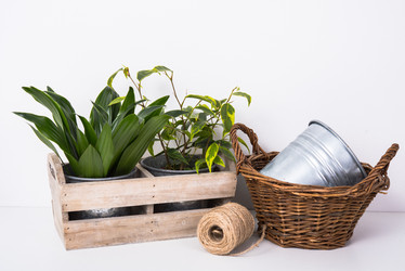 Similar image 13210788