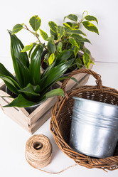 Similar image 13210789