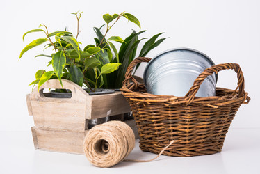 Similar image 13210790