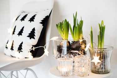 Similar image 13210807