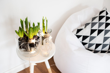 Similar image 13210886