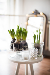 Similar image 13210887