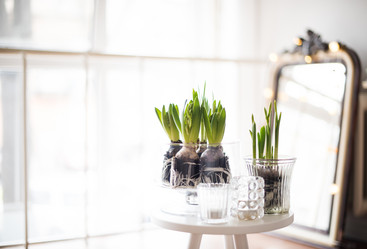 Similar image 13210889