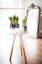 Similar image 13210910