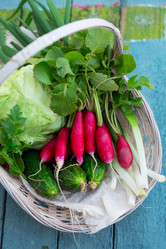 Similar image 13208563