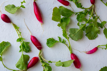 Similar image 13209593