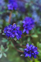 Similar image 13209595