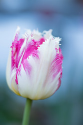 Similar image 13209597