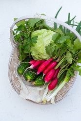 Similar image 13208569