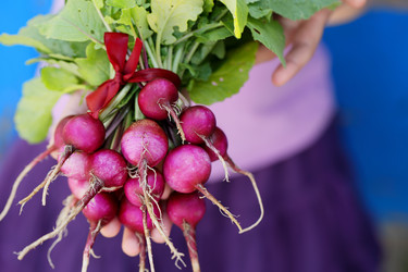 Similar image 13209552