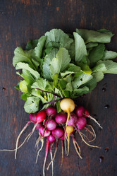 Similar image 13209556