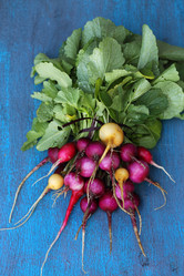 Similar image 13209557