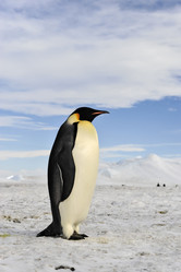 Similar image 13214275