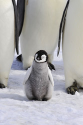 Similar image 13214333