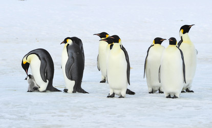 Similar image 13214439