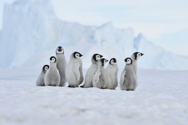 Similar image 13214538