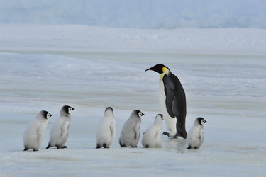 Similar image 13214562