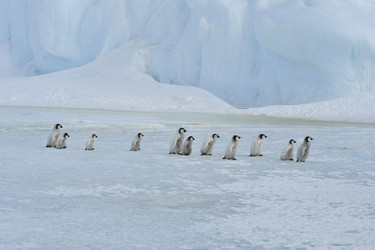 Similar image 13214621